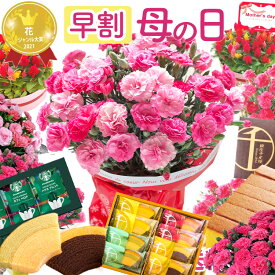 【先着クーポン配布中】早割 母の日 プレゼント 花 カーネーション 選べる花鉢 花とスイーツ ギフト 鉢植え 生花 5号 花ギフト スイーツセット 花とお菓子 カステラ 銀座千疋屋 60代 70代 ははの日 2026 FKHH 母の日 フラワーキッチン自由が丘