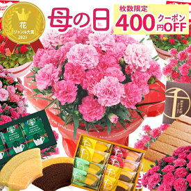 ＼先着400円クーポン／ 早割 母の日 カーネーション プレゼント 花 選べる花鉢 花とスイーツ ギフト 鉢植え 生花 5号 花ギフト スイーツセット 花とお菓子 カステラ 銀座千疋屋 60代 70代 ははの日 2026 FKHH 母の日 フラワーキッチン自由が丘