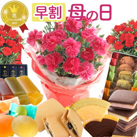 母の日 早割 プレゼント 花 選べる千疋屋スイーツと カーネーション 花とスイーツ ギフト 鉢植え 生花 5号 ギフト スイーツセット 花とお菓子 銀座千疋屋 洋菓子 スイーツ 60代 70代 ははの日 2026 FKHH 母の日 フラワーキッチン自由が丘
