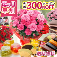【300円クーポン】母の日 早割 プレゼント 花 選べる千疋屋スイーツと カーネーション 花とスイーツ ギフ…
