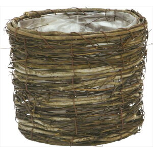 y43-13273-0z Ԋ@AW@ 13|273@TuE@ D3.5 8P@Ԏ H| FKTS