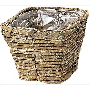 y43-29252-0z Ԋ@AW@ 29|252@ SS@ uE 10P@Ԏ H| FKTS