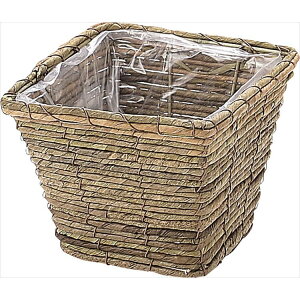 y43-29254-0z Ԋ@AW@ 29|254@ D4@ uE 6P@Ԏ H| FKTS