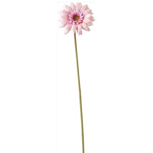 y65-206028-0z ԁ@A[gt[ VT|2060@~jK[x@ PI 1{@Ԏ H| FKTS