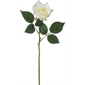 y65-672229-0z ԁ@A[gt[ VE|6722@j[GU[Y@ CR 1{@Ԏ H| FKTS