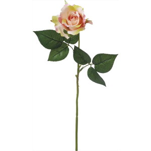 y65-672281-0z ԁ@A[gt[ VE|6722@j[GU[Y@ PEACH 1{@Ԏ H| FKTS