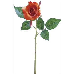 y65-672328-0z ԁ@A[gt[ VE|6722@j[GU[Y@IW@ OR 1{@Ԏ H| FKTS