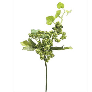 y66-260063-24z ԁ@A[gt[ Z0063@ChO[vx[sbN@ #024 O[ 1{@Ԏ H| FKTS