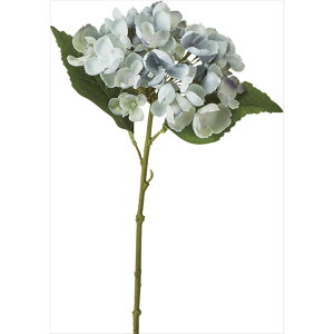 y66-308380-0z ԁ@A[gt[ R1099@\tgnChWA@ #005 u[ 1{@Ԏ H| FKTS