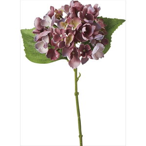 y66-308397-0z ԁ@A[gt[ R1099@\tgnChWA@ #017 p[v 1{@Ԏ H| FKTS