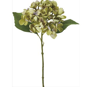 y66-308403-0z ԁ@A[gt[ R1099@\tgnChWA@ #024 O[ 1{@Ԏ H| FKTS