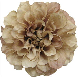 y66-40905-0z ԁ@A[gt[ S|5003@tVX_A@ AvRbguE 1{@Ԏ H| FKTS