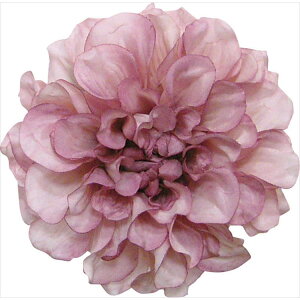 y66-41087-0z ԁ@A[gt[ S|5003@tVX_A@ [usN 1{@Ԏ H| FKTS