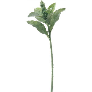 y72-40967-51z ԁ@A[gt[ A|40967@rbgC[@ #051F tXgO- 1{@Ԏ H| FKTS