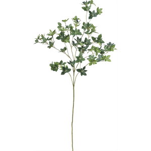 y72-43333-51z ԁ@A[gt[ A|43333@hE_@S@ #051A O- 1{@Ԏ H| FKTS