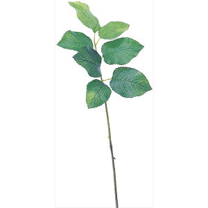 y72-46015-51z ԁ@A[gt[ A|46015@[t@ #051A O- 1{@Ԏ H| FKTS