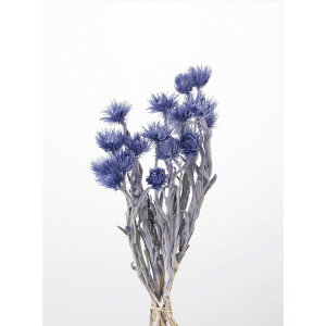 y76-32001-680z A[gt[ ~jVo[f[W[@25g Rogu[[ 1@Ԏ H| FKTS