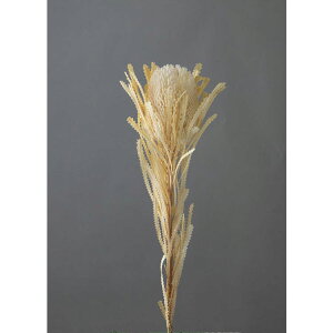 y76-40380-11z A[gt[ oNVEt[PA[i ItzCg 1{@Ԏ H| FKTS