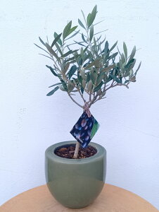 I[u̖ I[uiVvbV[mj  O[ _ A  ϗtA CeAO[  ~j  Mtg LO V{c[ j j JX J Vz 