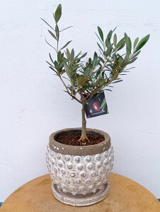 I[u̖ I[ui}Ujj   󂯎Mt _   A ϗtA CeAO[ Mtg LO V{c[ j j JX J Vz z