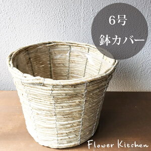 ()oiiۂ6 Jo[ ϗtA  oii ㎿ȔJo[ i`Jo[ ϗtAɍœKł CeAO[ ꔫJo[ 6 FKTS o^C z