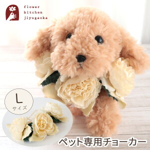 ybgpԂ̃`[J[LTCYucllier-RG-v A[gt[  ͂Ȃ a  L ybgp `[J[ 蕨 ybg RX`[ Xq ybg FKTPH