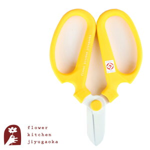 Ԃ͂ CG[  lR|X܂͂䂤pPbg y⌹ nhNG[V F170z170mm F-170 FlowerKitchenIWỉ|EԃnT~ nP[Xt  ObhfUC 