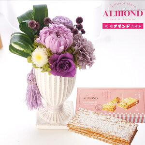 yzvU[uht[wԂxp[v+Z{؃A}hu`[Y~tB[v yz ͂Ȃ    Mtg yMt_bZ yΉ 