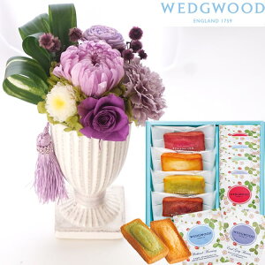 yzyEFbWEbhz vU[uht[wԂxp[v+tBiVFyEFbWEbhzeB[obOZbg WEDGWOOD ͂Ȃ    Mt