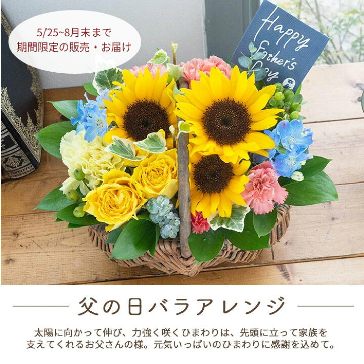 市場 送料無料 ヒマワリの花束 夏 ひまわり ひまわり花束 花束 ひまわりの花束 誕生日 本 ヒマワリ 市場 送料無料 ヒマワリの花束 夏 ひまわり ひまわり花束 花束 ひまわりの花束 誕生日 本 ヒマワリ