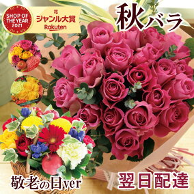 Dnfsh7xekt87qm