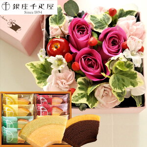 yDza Mtg   XC[cZbg ylpt[{bNXzMTCYBOX D t[cN[w MtgZbg   AWg t[ {bNX v