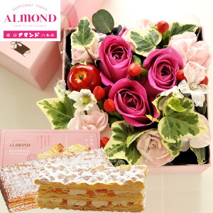 ԂƃXC[cZbgylpt[{bNXzMTCYBOXƁuZ{؃A}hv`[Y~tB[Zbg  AWg bZ[WJ[h v[g 蕨a LO 