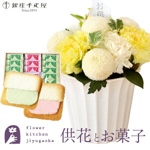 ԂƃXC[c̃ZbgnewDԃAWg+yDz t[cO  y@  ~ ފ r @   @v ŋz FKAASW