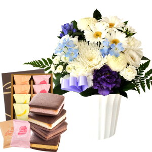 yDzԂƃXC[c̃ZbgmԂg{̂܂  STCY+ D ĂVRTu8  y@  ~ ފ r @ 