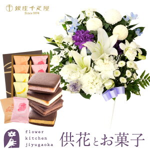 yDzԂƃXC[c̃ZbgmԂg ̂AWMTCY +yDzD ĂVRTu8  y   ~ ފ 