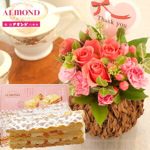 ԂƃXC[c̃ZbggXEB[g[YƁuZ{؃A}hv`[Y~tB[Zbg  kCEꂨ͂s AWg bZ[WJ[h  v[g 