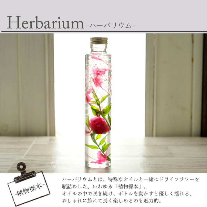 楽天市場 母の日 プレゼント 花とコーヒーのセットハーバリウムロングボトルタイプとスターバックスコーヒーギフトセット 送料無料 一部地域を除く 花束 メッセージカード 花 プレゼント 贈り物誕生日 記念日 お祝い 送別 Fktph Flowerkitchenjiyugaoka