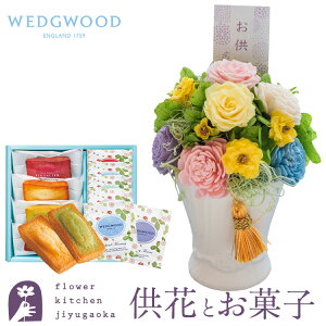 vU[uht[uAy[v+tBiVFyEFbWEbhzeB[obOZbg WEDGWOOD yz͂Ȃ ~    @   @v