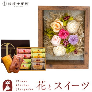 yDz ԂƃXC[cZbg t[t[uVv+uDvt[ctBiVFa j j vU LO  uU[ht[ Mtg 