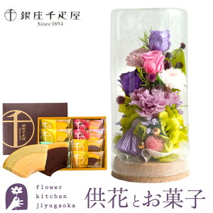 yzyDzvU[uht[uaSvp[v~bNX+yDzt[cN[wZbg yz ͂Ȃ    Mtg yMt_bZ