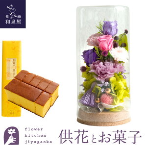 yzvU[uht[uaSvp[v~bNX +JXeI 0.5 10ؓ Zbg yz ͂Ȃ    Mtg yMt_bZ yΉ 