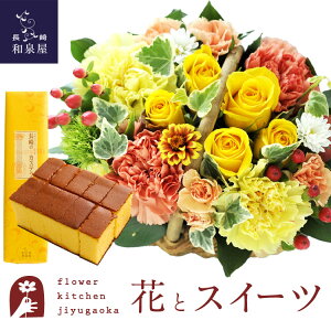 ԂƃXC[c̃Zbg ~joXPbgyCG[z+JXeI 0.5 10ؓ Zbg@@y a LO j XC[c Zbg oXPbg AW a җ 