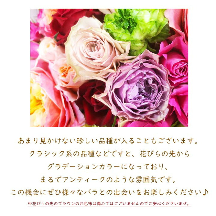 楽天市場 日時指定不可 おまかせミックスバラ30本 グリーンmix 産地直送の花ギフト 送料無料 自宅用 ギフト対応不可 日時指定不可北海道 中国 四国 九州 沖縄 離島へのお届けは出来ません 花のある暮らし ボタニカルライフ 生花 Fktfs
