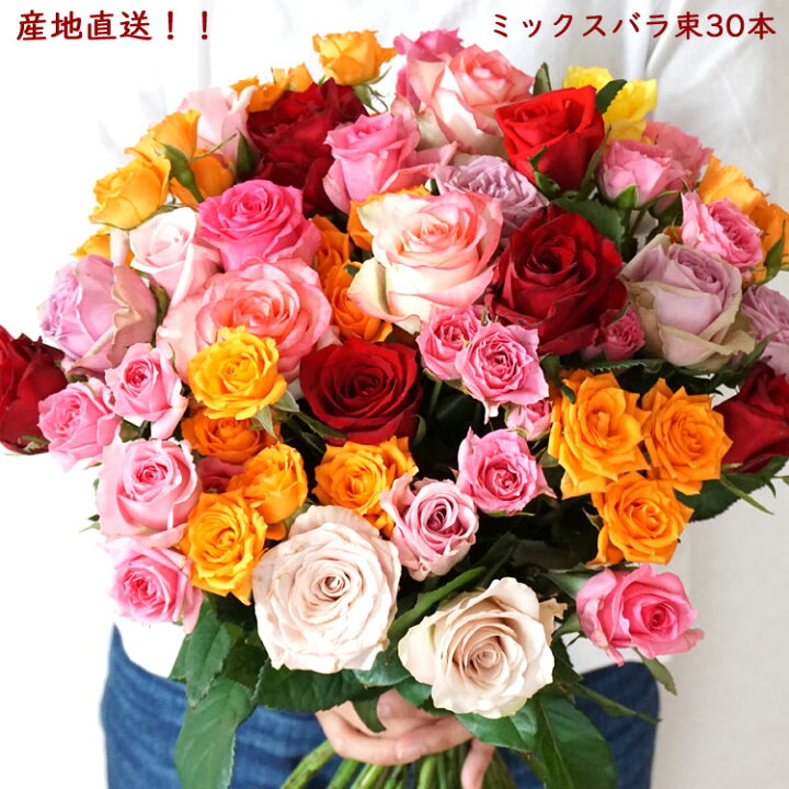 楽天市場 日時指定不可 おまかせミックスバラ30本 グリーンmix 産地直送の花ギフト 送料無料 自宅用 ギフト対応不可 日時指定不可北海道 中国 四国 九州 沖縄 離島へのお届けは出来ません 花のある暮らし ボタニカルライフ 生花 Fktfs