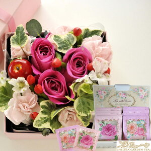 Ԃƍg̃Zbg ylpt[{bNXzMTCYBOXƃ`FV[K[feB[ ϔ胍[YeB[Zbg  ԑ bZ[WJ[hԕr炸̉ԑ  v[g 蕨 a