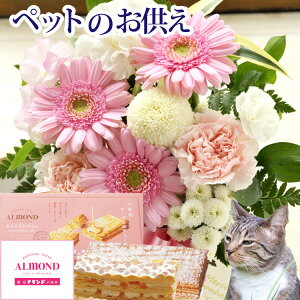 yyzyDzybg֑邨AWƃXC[cyybgpzybgAW+Z{؃A}h`[Y~tB[ ybg      