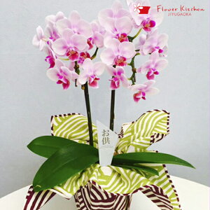 Yn̉ԃMtgy~fBӒ 2{ p C~ 4 픫 zŖm̌Ӓ R`Eyz  r ~ ~ V