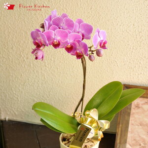 Yn̉ԃMtgye[uӒ@Mtg{bNX sNn܂zyA-85zŖm̌Ӓ R`Ej/a/җ//Ď//LO//