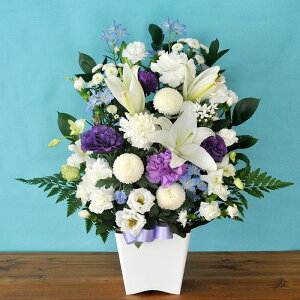 yŒZ14Yz  mԂg{̂܂  LTCY { ˔uWn̍vZbg    t[Mtg Mtg AWg  